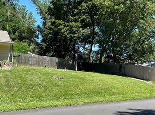 Mike F.'s Yard Cutting service result