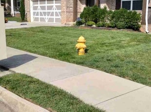 melonie c.'s Lawn Care service result
