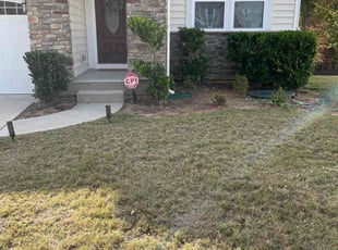Bush Trimming by Alejandro Alpizar Ramos for Dwayne A. in Charlotte, NC