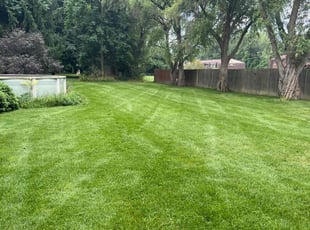 Christian F.'s Yard Cutting service result