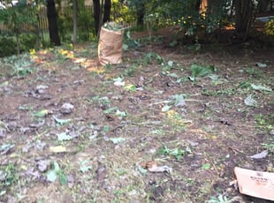 Cleanups by Carl Frank for Marr N. in Madison, WI