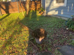 Leaf Removal by Bryce Morris for Lisa P. in Austin, TX