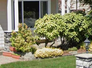 Habeeb k.'s Lawn Mowing Service service result