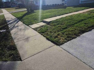 Leaf Removal by Rose Valle for Matt B. in Alexandria, VA