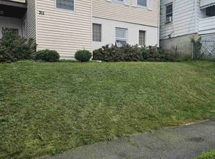 Ruben G.'s Lawn Mowing Service service result