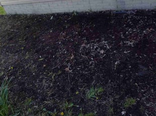 Weeding by Rayshawn Martin for Kathleen M. in Maple Heights, OH