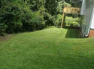 Lori S.'s Lawn Care service result