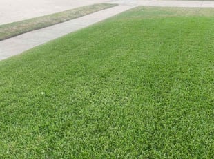 Timothy W.'s Lawn Service service result