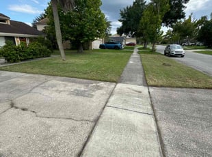Eileen N.'s Lawn Care service result