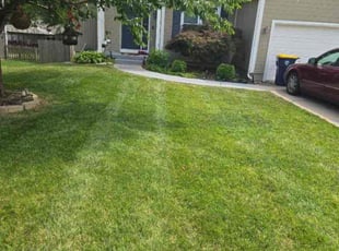 Chris M.'s Lawn Service service result