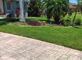 Annette H.'s Lawn Service service result