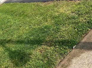 Weeding by Francisco Silva for Sheila A. in Oswego, IL