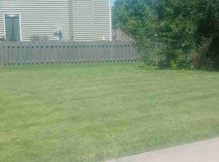 Richard C.'s Lawn Maintenance service result
