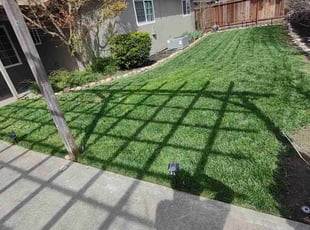 Constance A.'s Yard Cutting service result