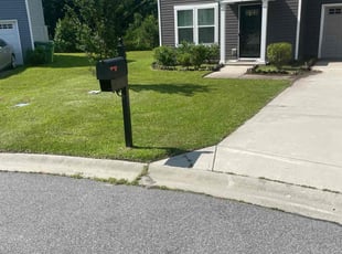 Patrick S.'s Yard Cutting service result