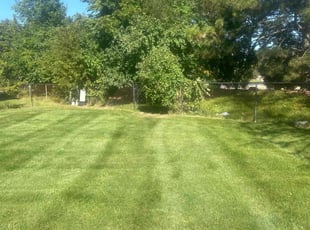 Aijaz D.'s Grass Cutting service result