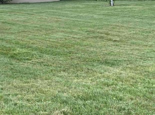 Joy R.'s Lawn Care service result