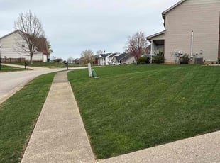 Maria L.'s Lawn Mowing service result