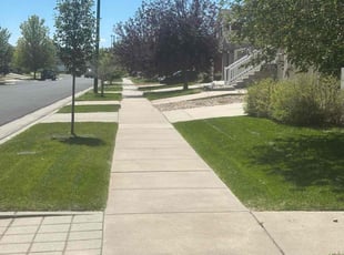 Patti G.'s Lawn Mowing service result