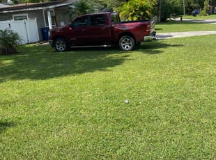 Eugene S.'s Yard Cutting service result