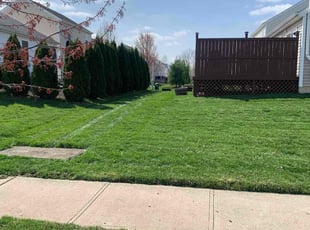 Ileana V.'s Lawn Service service result