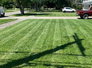 Becky L.'s Lawn Mowing service result
