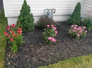 Weeding by Kahlil Barney for Renee I. in Buffalo, NY
