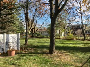 Leaf Removal by David Bowen for Amit S. in Syracuse, NY