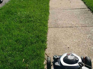Joanna P.'s Lawn Mowing service result