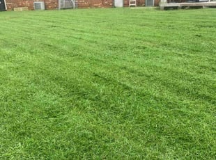 Robyn M.'s Yard Cutting service result