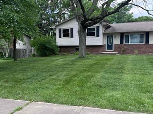 Dean H.'s Yard Cutting service result