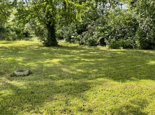 Crystal O.'s Lawn Mowing Service service result