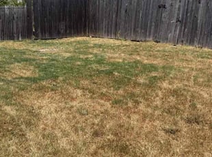 Wilson H.'s Cleanups service result