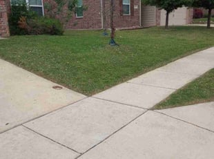 Kendra F.'s Lawn Care service result