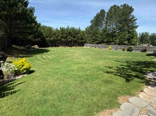 Ty H.'s Lawn Maintenance service result