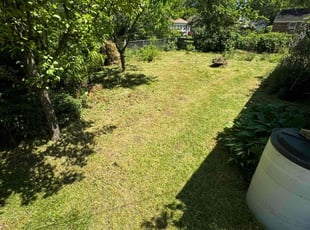 Tiffini B.'s Lawn Service service result