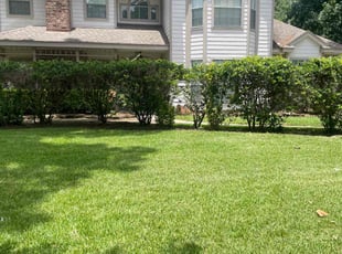 Bush Trimming by Warren Carter for Lona M. in Spring, TX