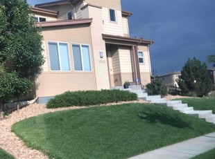 Bush Trimming by Trey Weiler for Valerie R. in Commerce City, CO