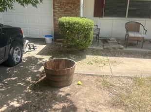 Bush Trimming by Devonn Ford for Chris L. in Fort Worth, TX