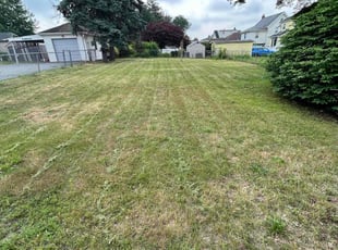 Zaya s.'s Lawn Service service result