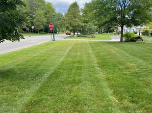 Timothy & Candace H.'s Yard Cutting service result