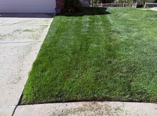 Elizabeth C.'s Lawn Mowing Service service result