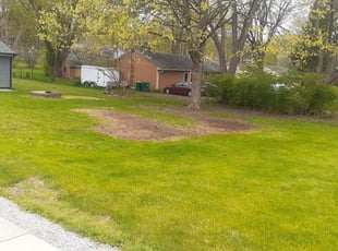 Leaf Removal by Jonathan Ward for Andre S. in Fairborn, OH