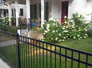 Kenneth F.'s Lawn Service service result