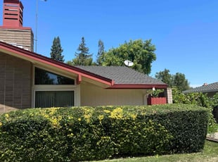 Bush Trimming by Diego Mojica for Ruth L. in Sacramento, CA