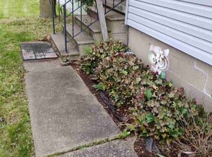 Weeding by Cody Garvey for Cathy C. in Warren, OH