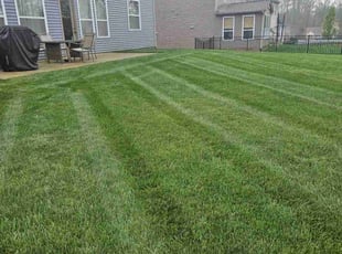 Mark B.'s Lawn Care service result