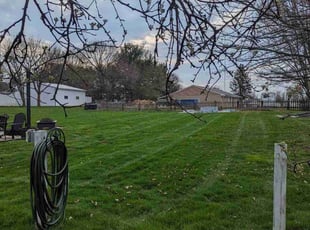 Sheila C.'s Lawn Care service result