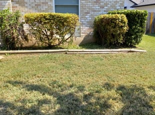 Bush Trimming by Joshua Cabiya for Tara B. in Austin, TX