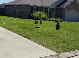 DOROTHY L.'s Lawn Care service result